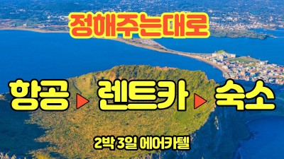 정해주는대로 가는 여행