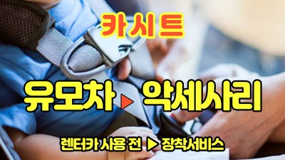 카시트 유모차 애견용품 악세사리