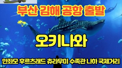 부산출발 오키나와 매주 일,화요일~~