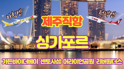 아침엔 스쿠트로 저녁엔 티웨이로 떠나는 싱가포르 여행~~!!2명부터 출발가능